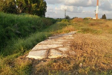 ילדים וחיילים ישקמו את נחל תנינים