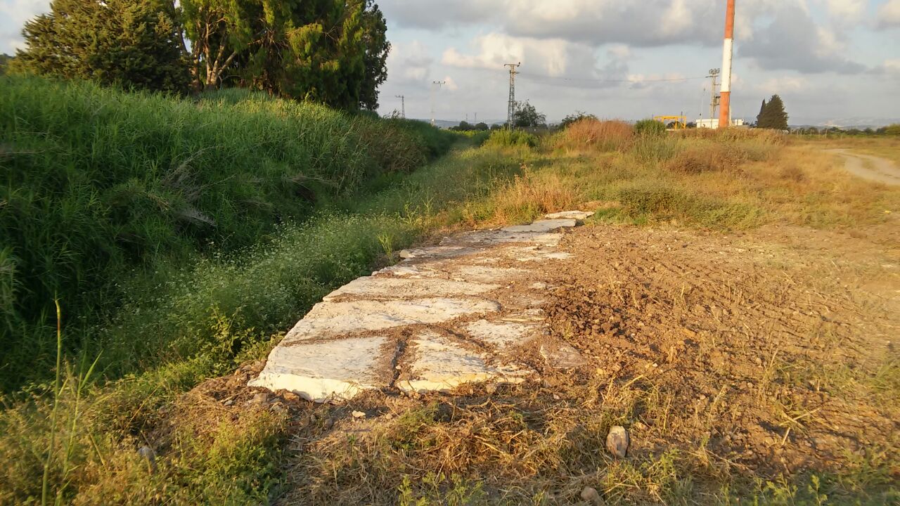 סובל מייבוש וזיהום. נחל התנינים|צילום: יח ילדים וחיילים ישקמו את נחל תנינים