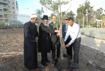 רב ושייח’ נטעו עץ למען דו קיום