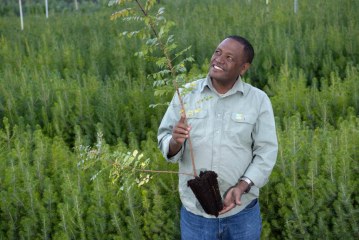 בקק”ל הכינו שתילים לט”ו בשבט