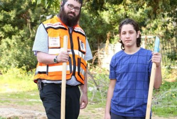 הפצוע נטע עץ עם החובש