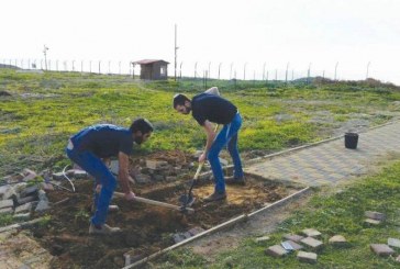 עכו: מתנדבים לזכר הצעירה שנהרגה