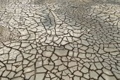 ארה”ב: זקוקים לסיוע בגלל בצורת