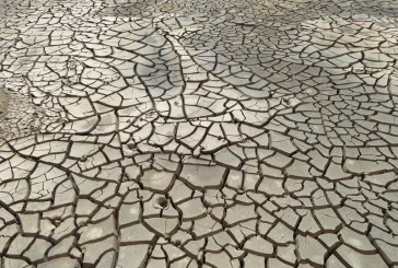 ארה”ב: זקוקים לסיוע בגלל בצורת