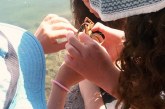 תלמידים ומדריכה הצילו דגים וסרטנים שנתקעו ברשת דיג בחופי הכנרת