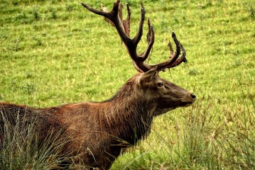 פארק עמק הצבאים בירושלים זכה ב”אות העיצוב” לשנת 2016