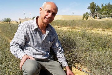 מחקר: שיתוף פעולה מסייע להישרדות
