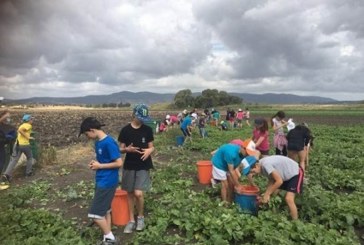 עצרו לסייע רגע לפני “החופש הגדול”