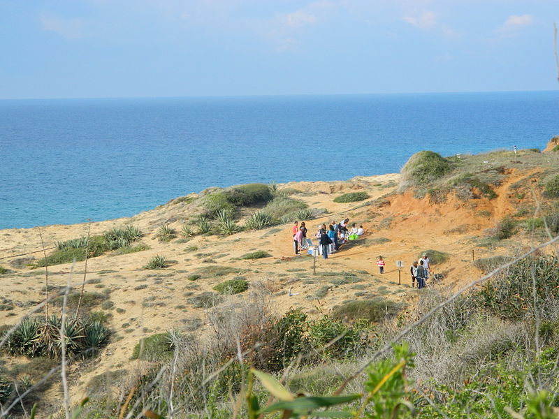 מבצע ארצי לניקוי חופים