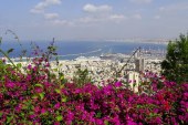 משרד התחבורה ירחיב את מיזם המטרונית