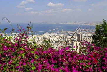 משרד התחבורה ירחיב את מיזם המטרונית