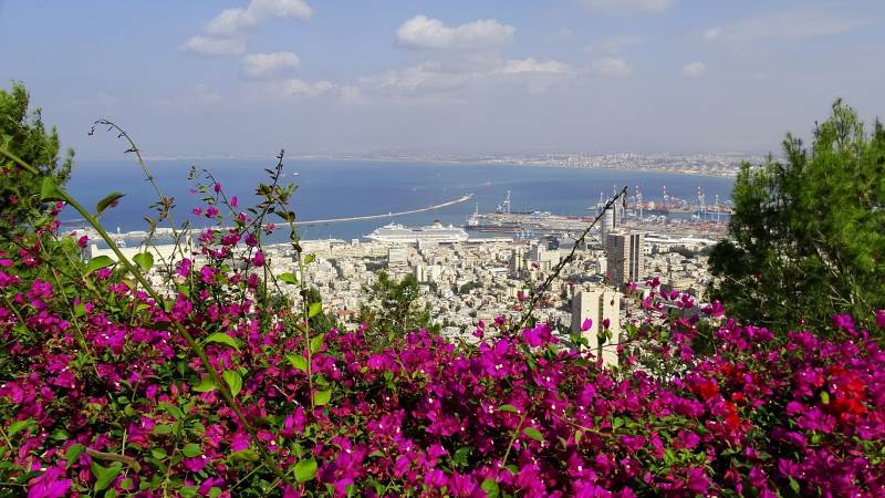 מהפכה. מפרץ חיפה|צילום: אתר pixabay.com משרד התחבורה ירחיב את מיזם המטרונית