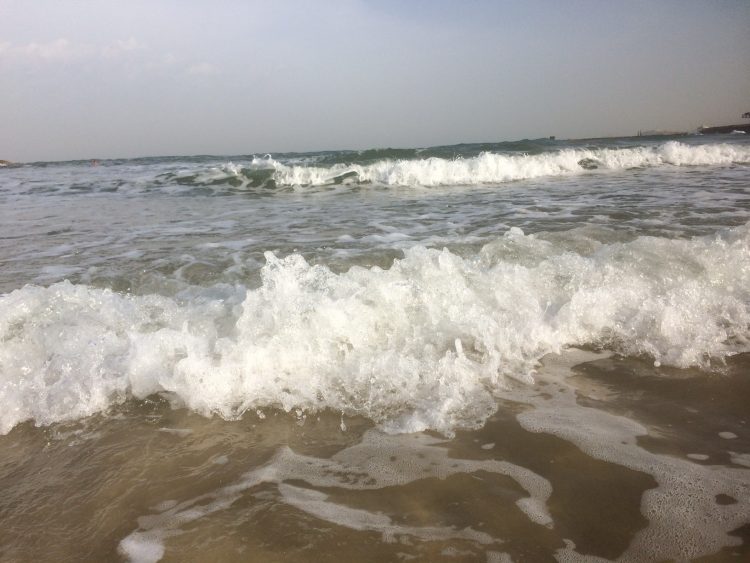 שיפור במצב הניקיון בחופים