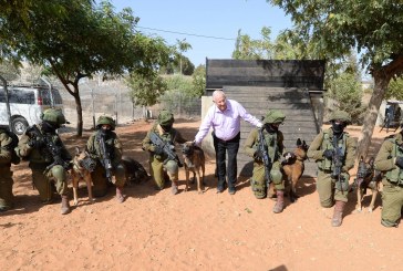 ״אף שאתם אלה ששומרים עלי, אני הוא החייל שלכם״
