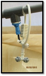צמח ריחני יסייע לחקלאים