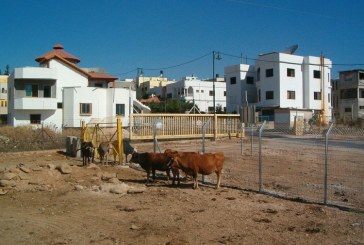 נתפסה חוליית מחבלים שתכננה פיגועים