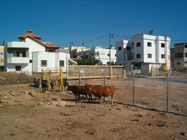 שער הכניסה לחלקו הדרומי (הישראלי) של הכפר ע'ג'ר|צילום:מתוך ויקיפידיה נתפסה חוליית מחבלים שתכננה פיגועים