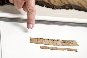 נחשפה תגלית נדירה מימי הבית הראשון