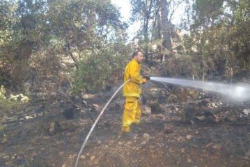הכבאים נלחמים בשריפות ליד ירושלים ובזכרון יעקב