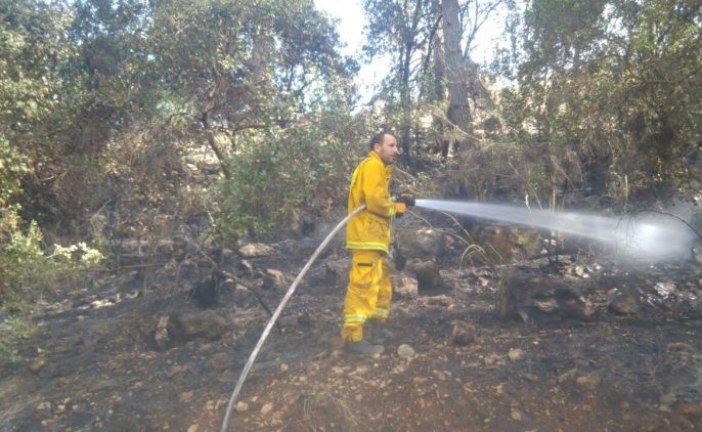 הכבאים נלחמים בשריפות ליד ירושלים ובזכרון יעקב