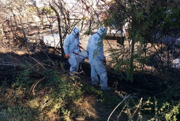 הסתיימה הסכנה הבריאותית בפנימייה הצבאית בחיפה