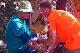 תירגול ליחידת החילוץ גליל-כרמל